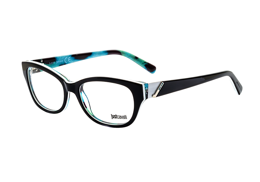 Just Cavalli JC3